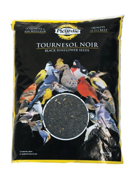 Black Sunflower Seeds for Wild Birds - 2 kg