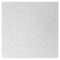 Ceiling Panel - 2' x 2' - White - 16/Pkg