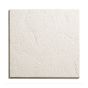 Ceiling Panel - 2' x 2' - White - 8/Pkg