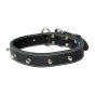 Collier double avec spike pour chien