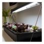 Lampe pour plantes