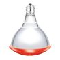 Infrared Bulb with Medium Base - PAR38 - 175 W - 2/Pkg