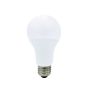 LED Lightbulb - A21  - 17 W