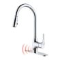 Pull-down Kitchen Sink Faucet