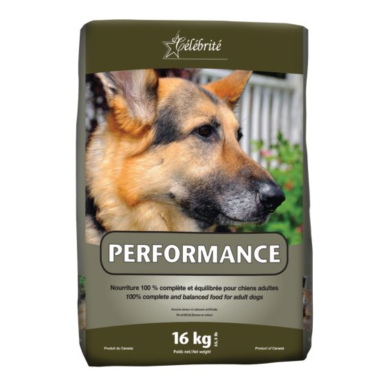 Nourriture 100 % complète et équilibrée pour chiens adultes, PERFORMANCE, 16 kg