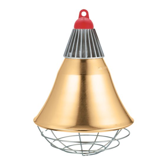 Infrared Bulb Brooder