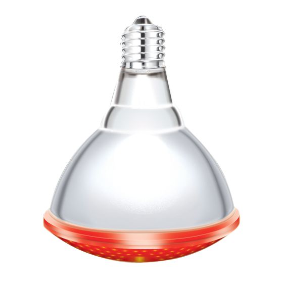 Infrared Bulb with Medium Base - PAR38 - 175 W - 2/Pkg