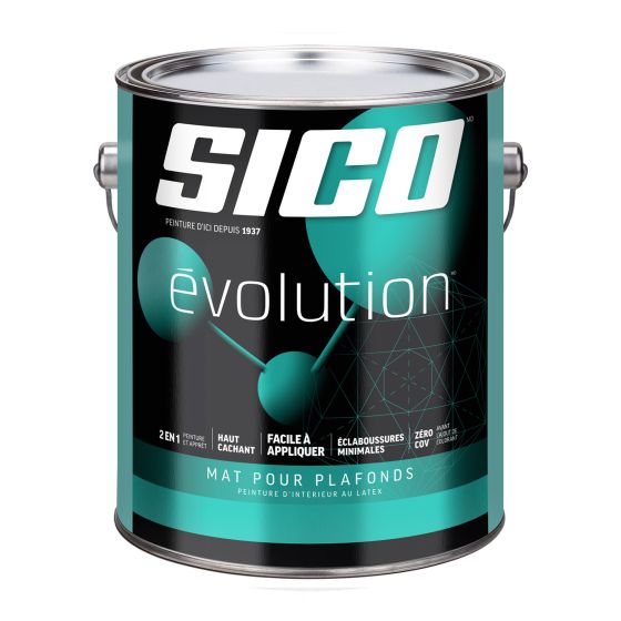 Paint SICO Evolution for ceilings, Flat, White