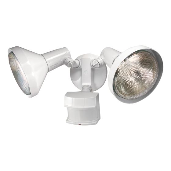 Security light