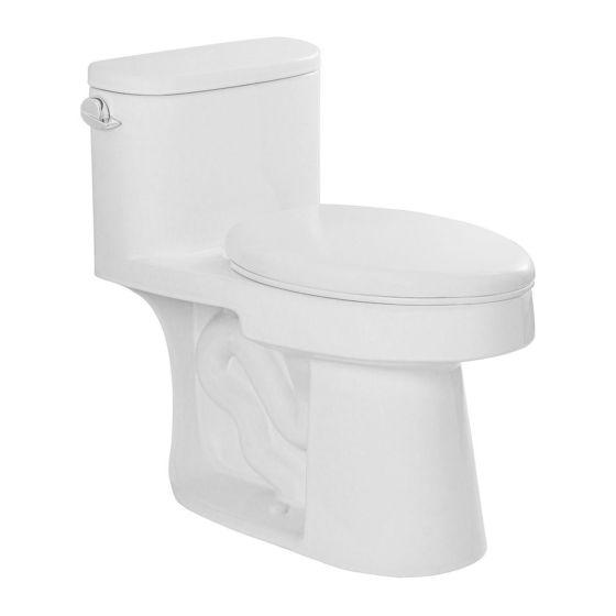 Toilette cuvette allongée, monopièce, chasse vortex, 4,8 l, blanc