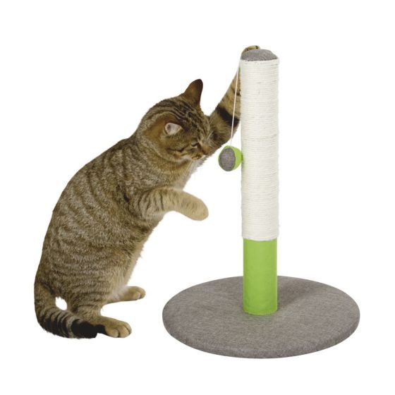 Cat scratching post