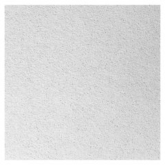 Ceiling Panel - 2' x 2' - White - 16/Pkg