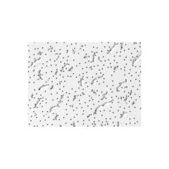 Ceiling Panel - Model 220  - 2' x 4' - 8/Pkg - Covers 64 sq. ft.