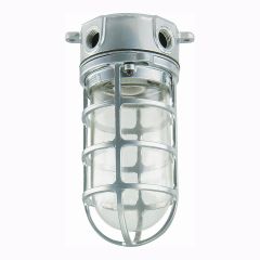 Industrial ceiling light