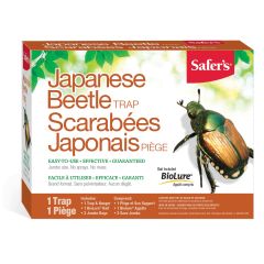 Japanese beetle trap