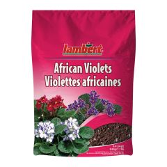 Terreau pour violettes africaines