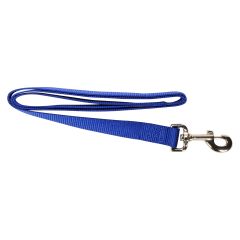 Simple Leash - Blue - 1" x 48"