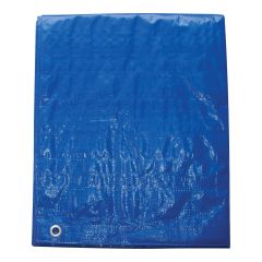 Economy Tarp – Blue – 10’ x 12’