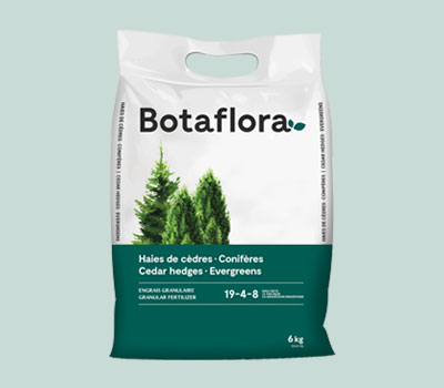Botaflora 19-4-8 granular fertilizer for cedar hedges and evergreens  | Potvin & Bouchard